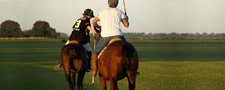 Argentina-Buenos Aires-Introduction to Polo